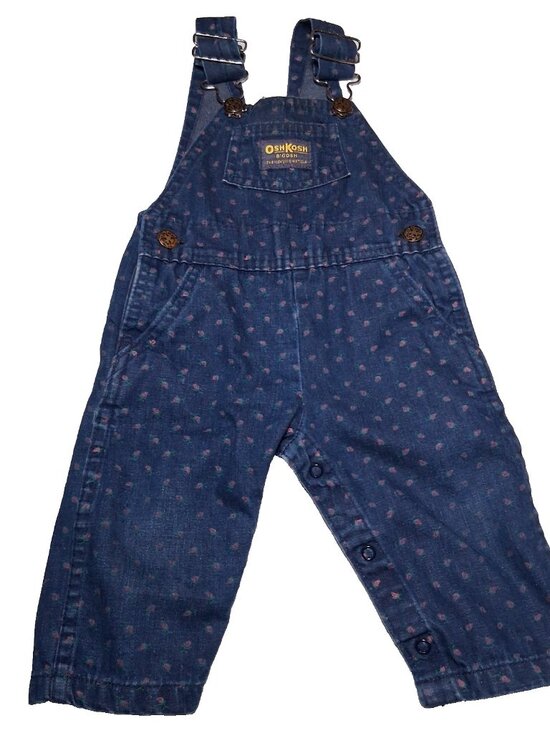 OshKosh B’gosh Other - Vintage Osh Kosh B Gosh Overalls Girls 12 MOS Pink Floral Blue Denim Vestbak